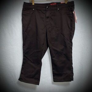 Women’s Petite 14 Dressbarn Black Capri Pants NWT Stretch